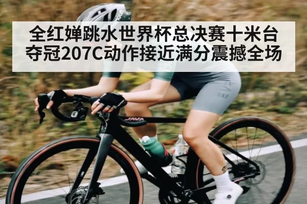 全红婵跳水世界杯总决赛十米台夺冠207C动作接近满分震撼全场